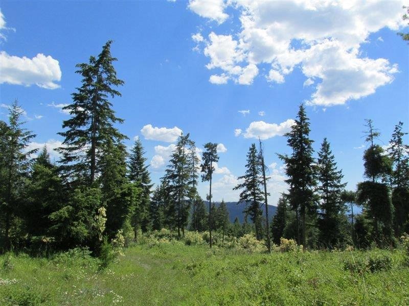 850 X Finley Gulch Road Colville, WA 99114 - Photo 7 of 20