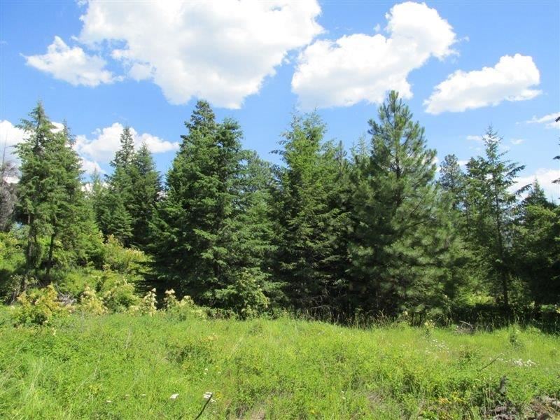 850 X Finley Gulch Road Colville, WA 99114 - Photo 8 of 20