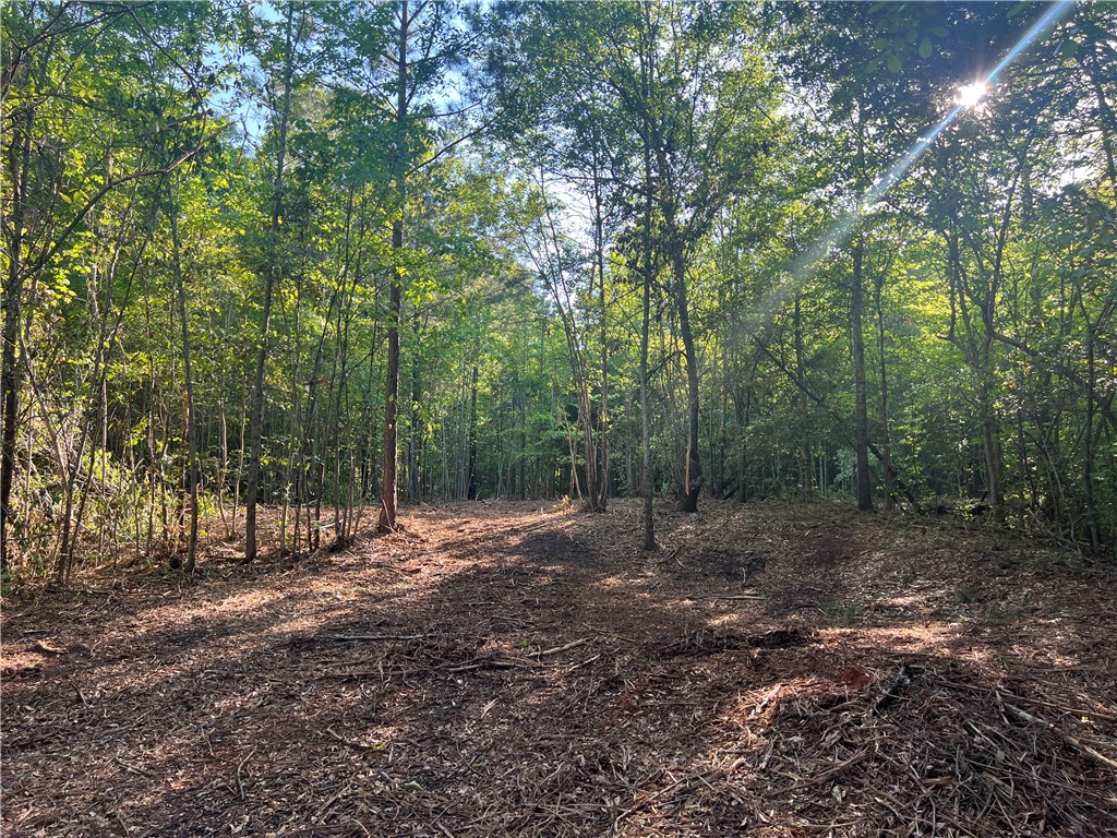 Lot 3 Broadway Lake Road Anderson, SC 29621 - Photo 12 of 12 Gallery Image 12