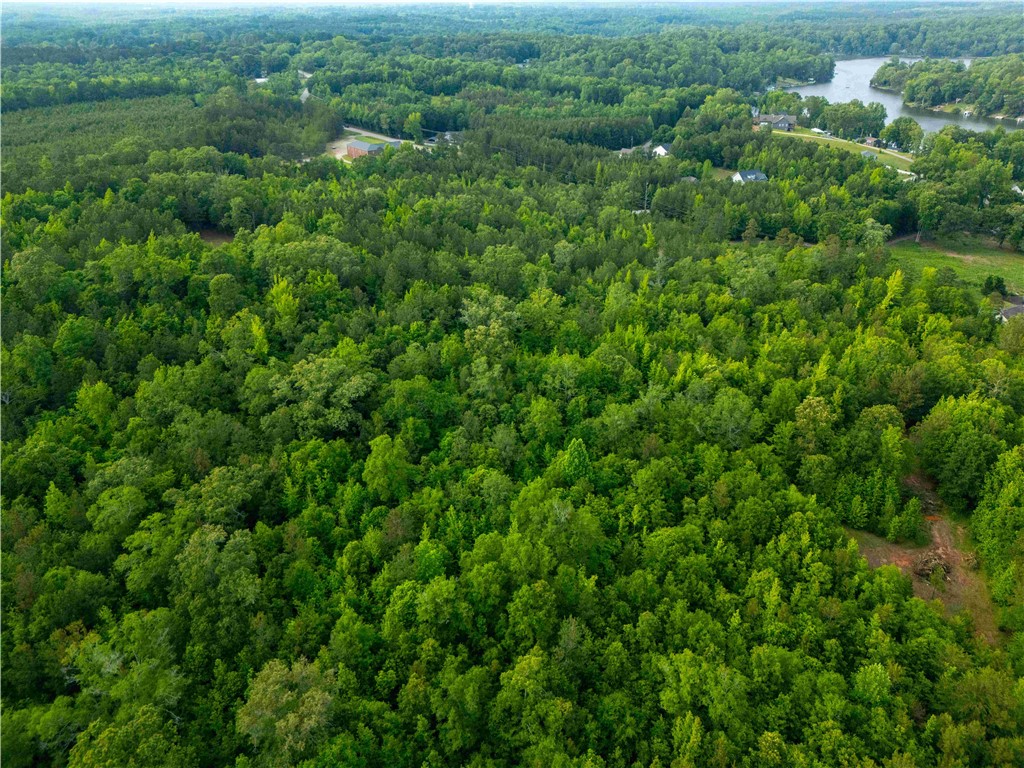 Lot 3 Broadway Lake Road Anderson, SC 29621 - Photo 2 of 12 Gallery Image 2