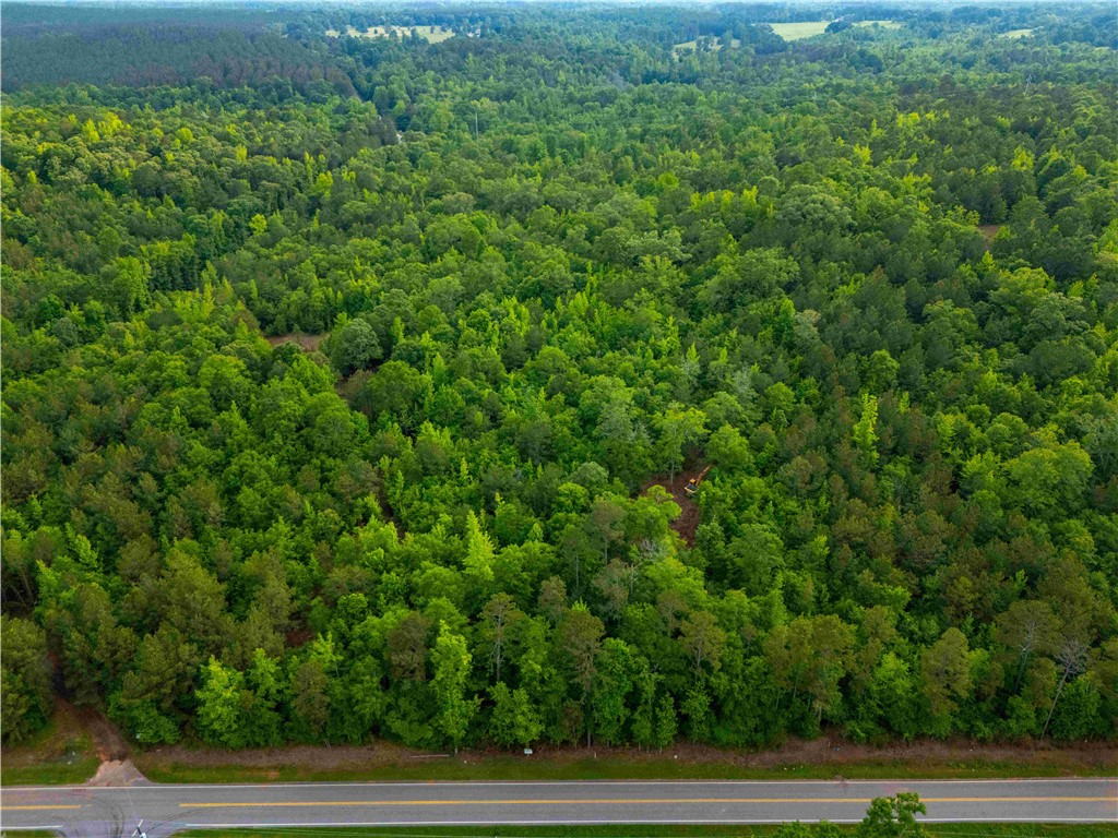 Lot 3 Broadway Lake Road Anderson, SC 29621 - Photo 3 of 12 Gallery Image 3