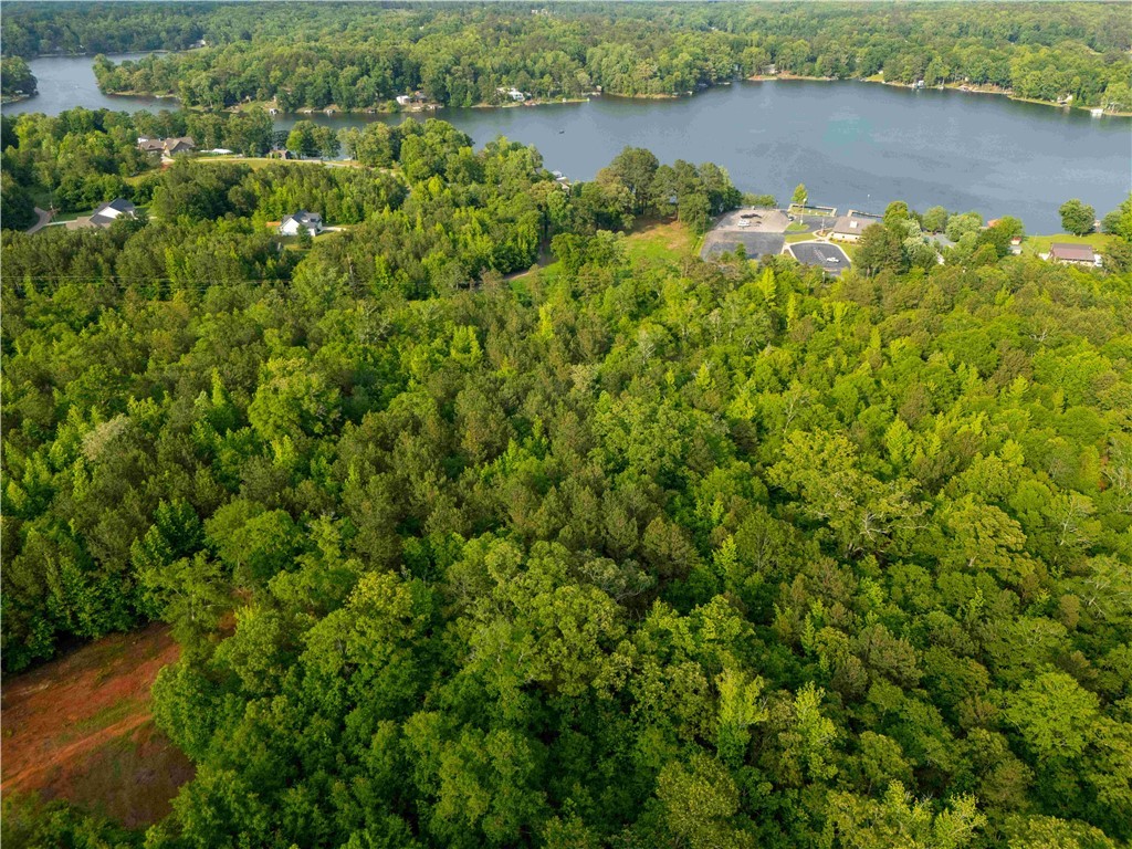 Lot 3 Broadway Lake Road Anderson, SC 29621 - Photo 4 of 12 Gallery Image 4