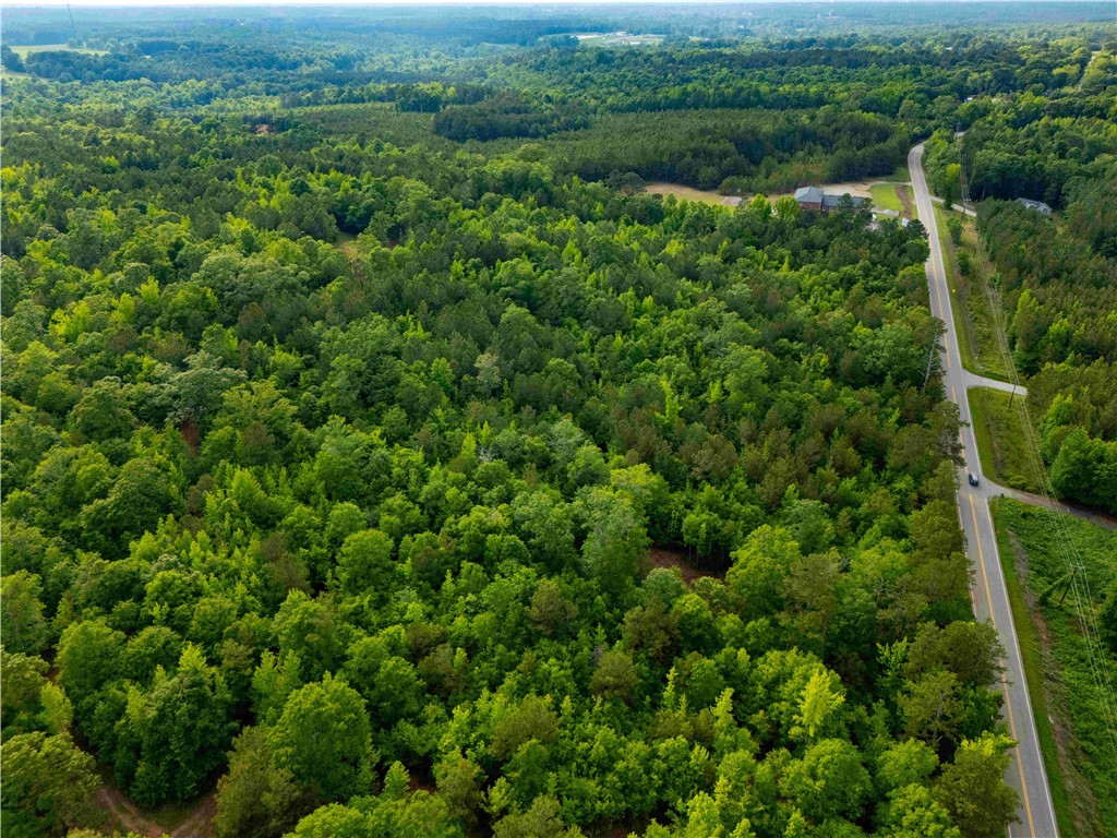 Lot 3 Broadway Lake Road Anderson, SC 29621 - Photo 5 of 12 Gallery Image 5