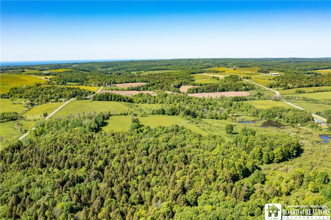 3946 Camp Road Sherman, NY 14781 - Photo 4 of 48