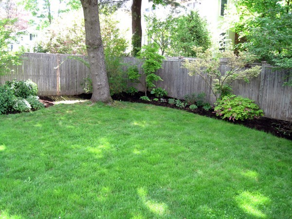 19 Appleby Road Wellesley, MA 02482 - Photo 15 of 18 a view of a backyard with large trees and wooden fence