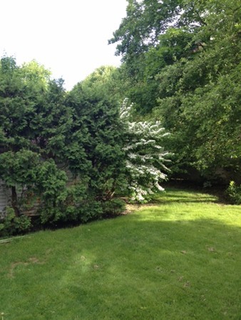 19 Appleby Road Wellesley, MA 02482 - Photo 17 of 18 a view of a grassy field with an trees