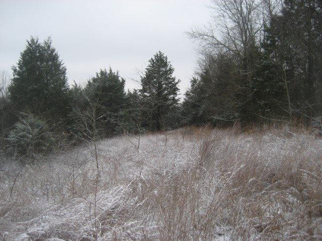 181 Driscoll Road Mount Eden, KY 40046 - Photo 16 of 23 Photo 16