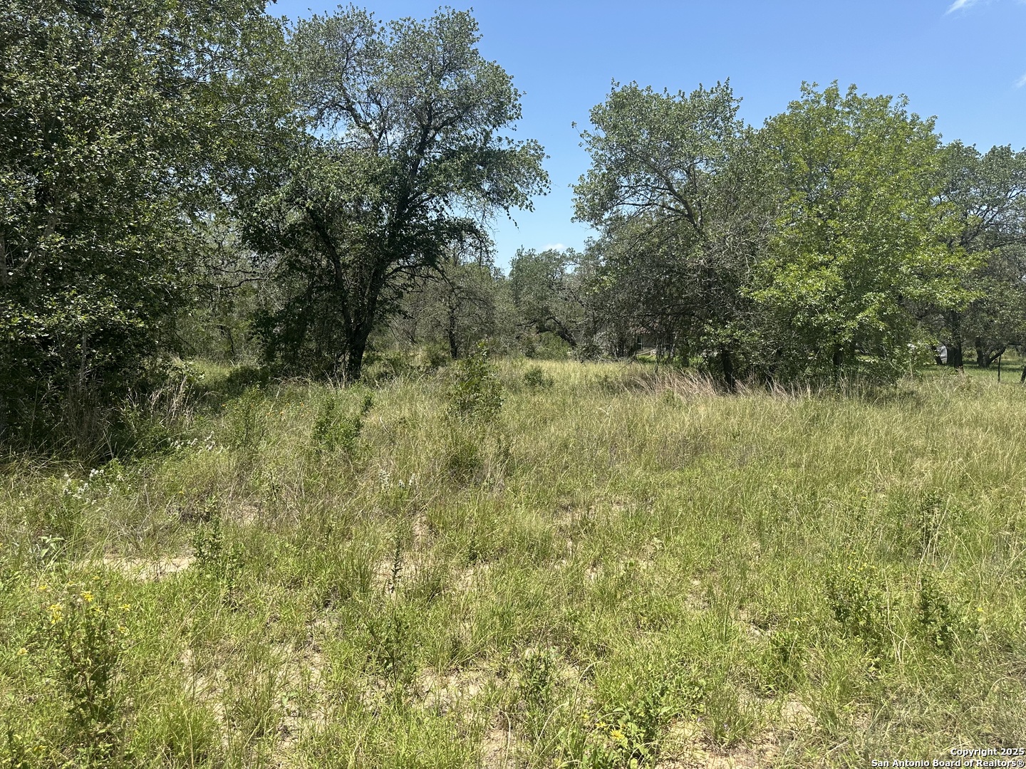 0 Clear Lake Loop Poteet, TX 78065 - Photo 2 of 3 a view of a lake with top of green space
