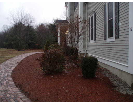 12 Collins Road Berlin, MA 01503 - Photo 13 of 14 a view of a backyard with plants