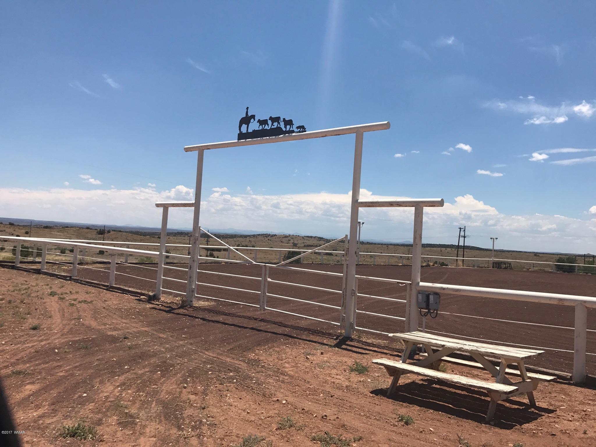 650 South Freeman Hollow Road Snowflake, AZ 85937 - Photo 29 of 58