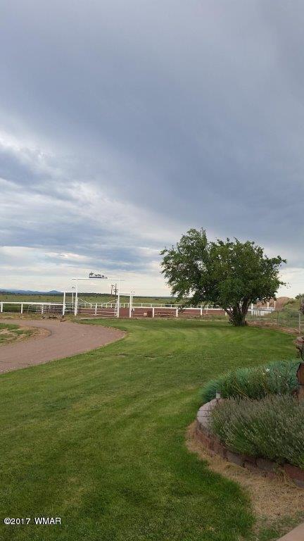 650 South Freeman Hollow Road Snowflake, AZ 85937 - Photo 31 of 58