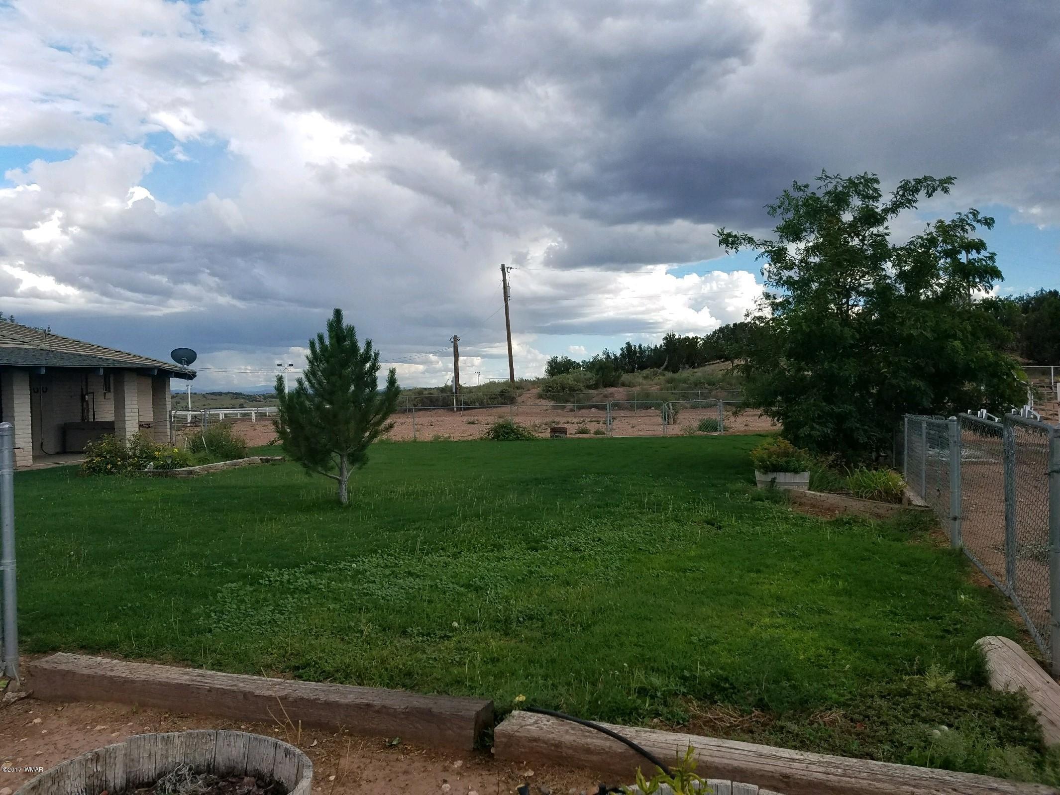 650 South Freeman Hollow Road Snowflake, AZ 85937 - Photo 35 of 58