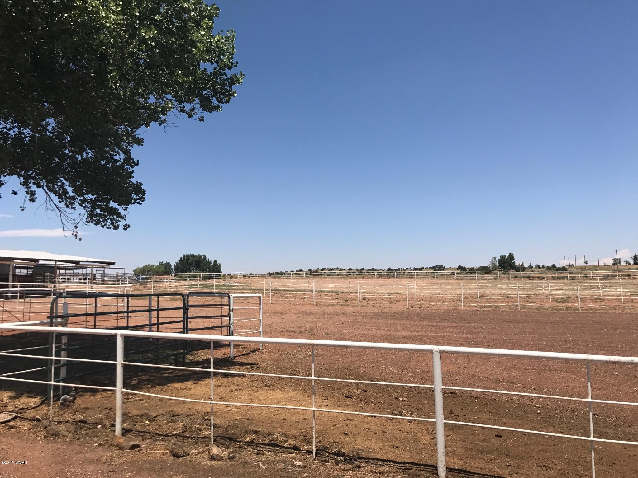 650 South Freeman Hollow Road Snowflake, AZ 85937 - Photo 36 of 58