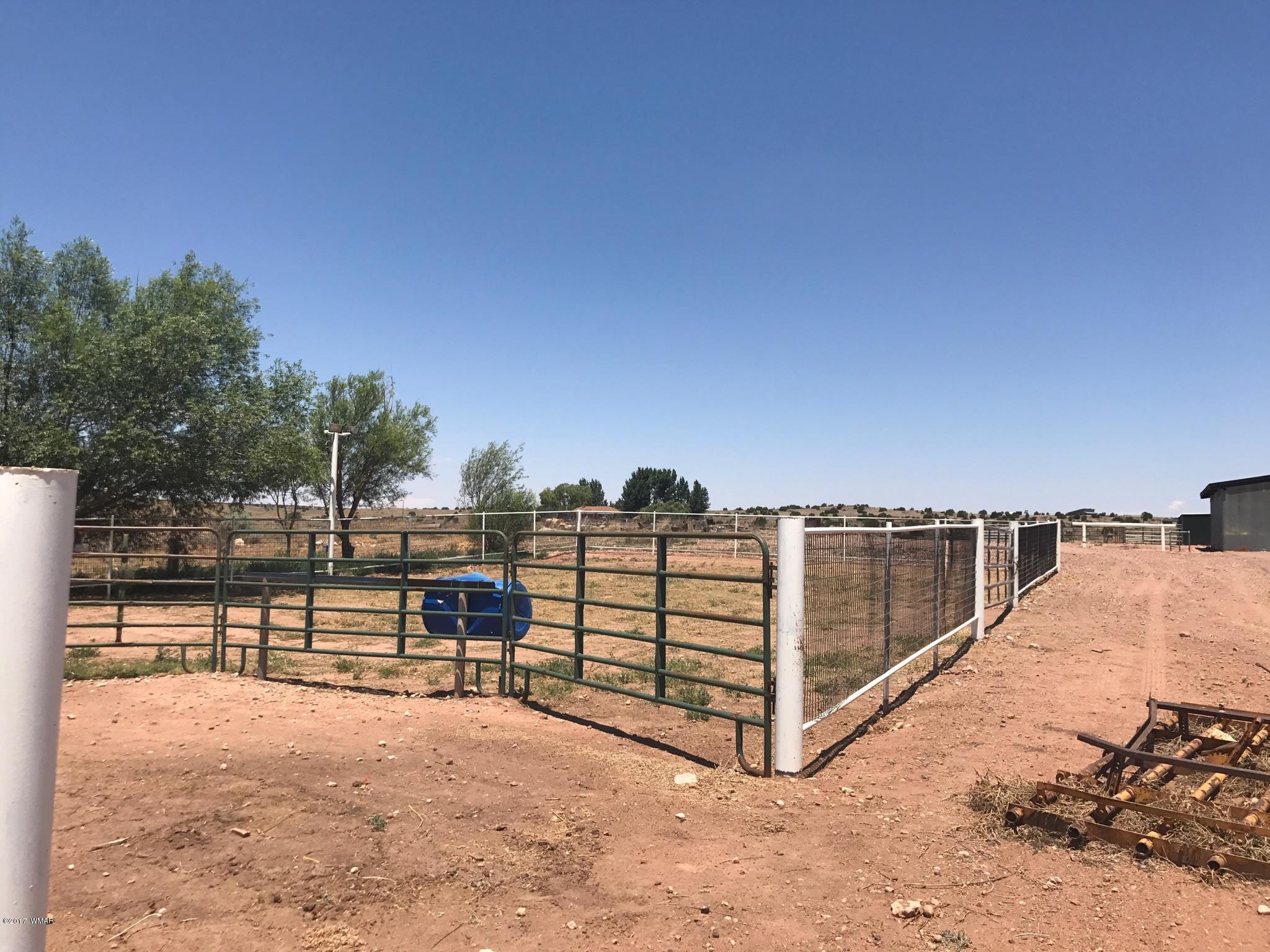 650 South Freeman Hollow Road Snowflake, AZ 85937 - Photo 37 of 58