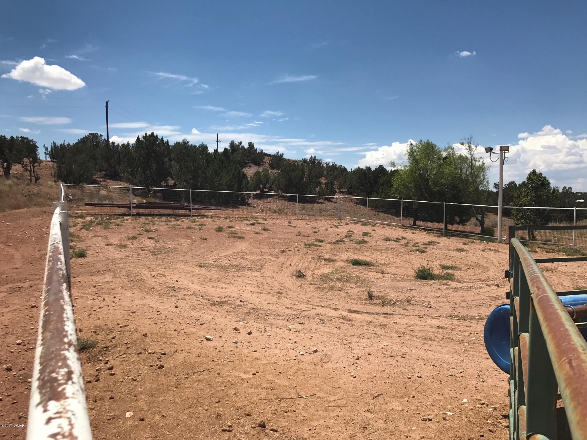 650 South Freeman Hollow Road Snowflake, AZ 85937 - Photo 38 of 58