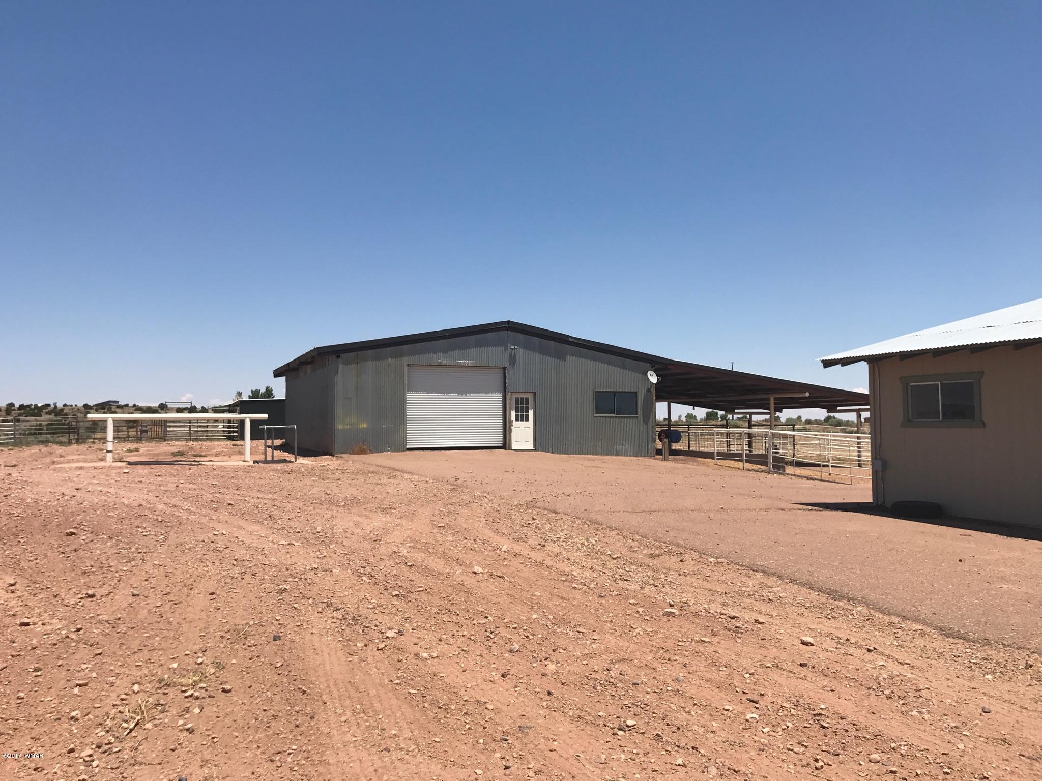 650 South Freeman Hollow Road Snowflake, AZ 85937 - Photo 45 of 58