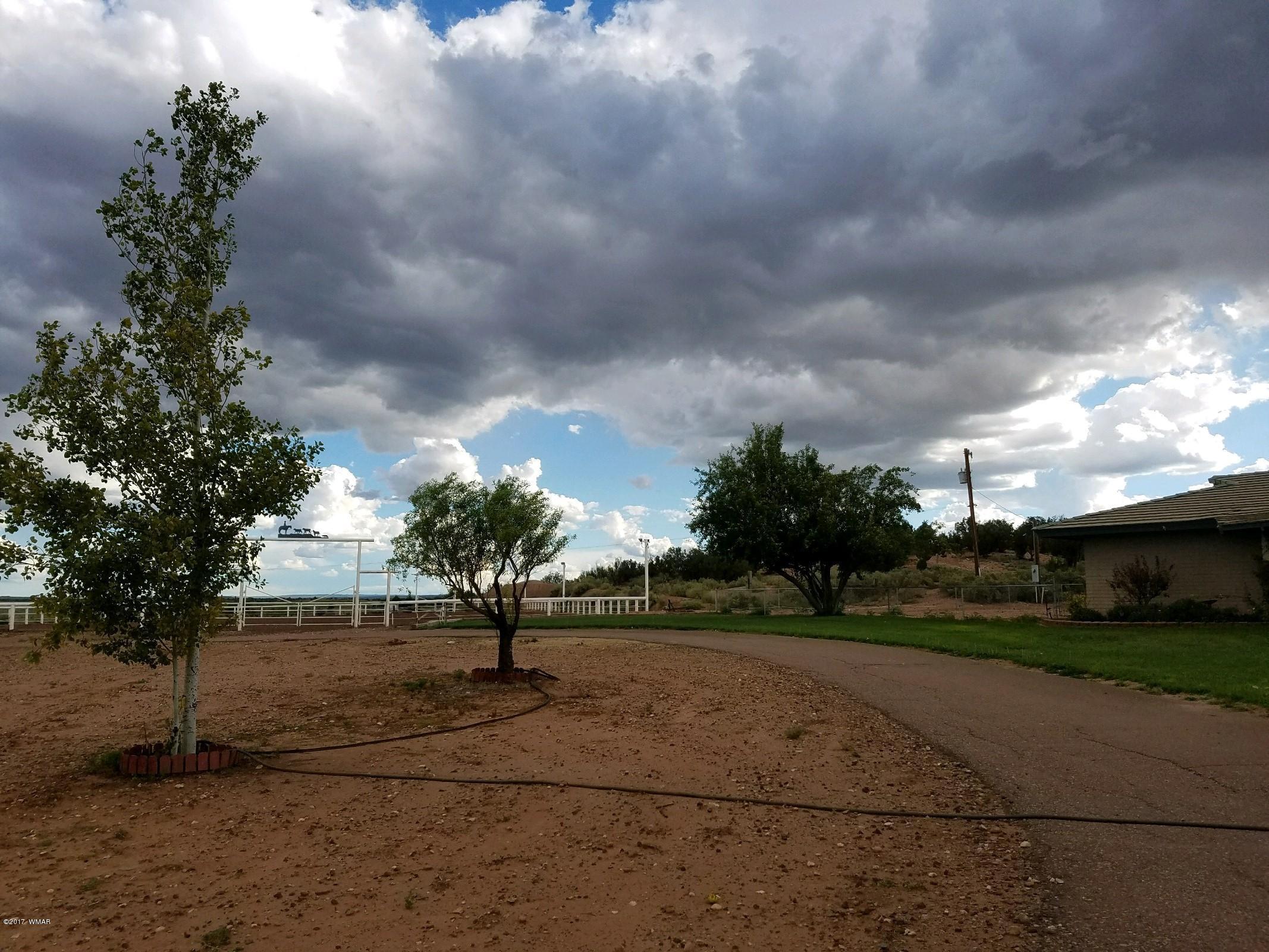 650 South Freeman Hollow Road Snowflake, AZ 85937 - Photo 47 of 58