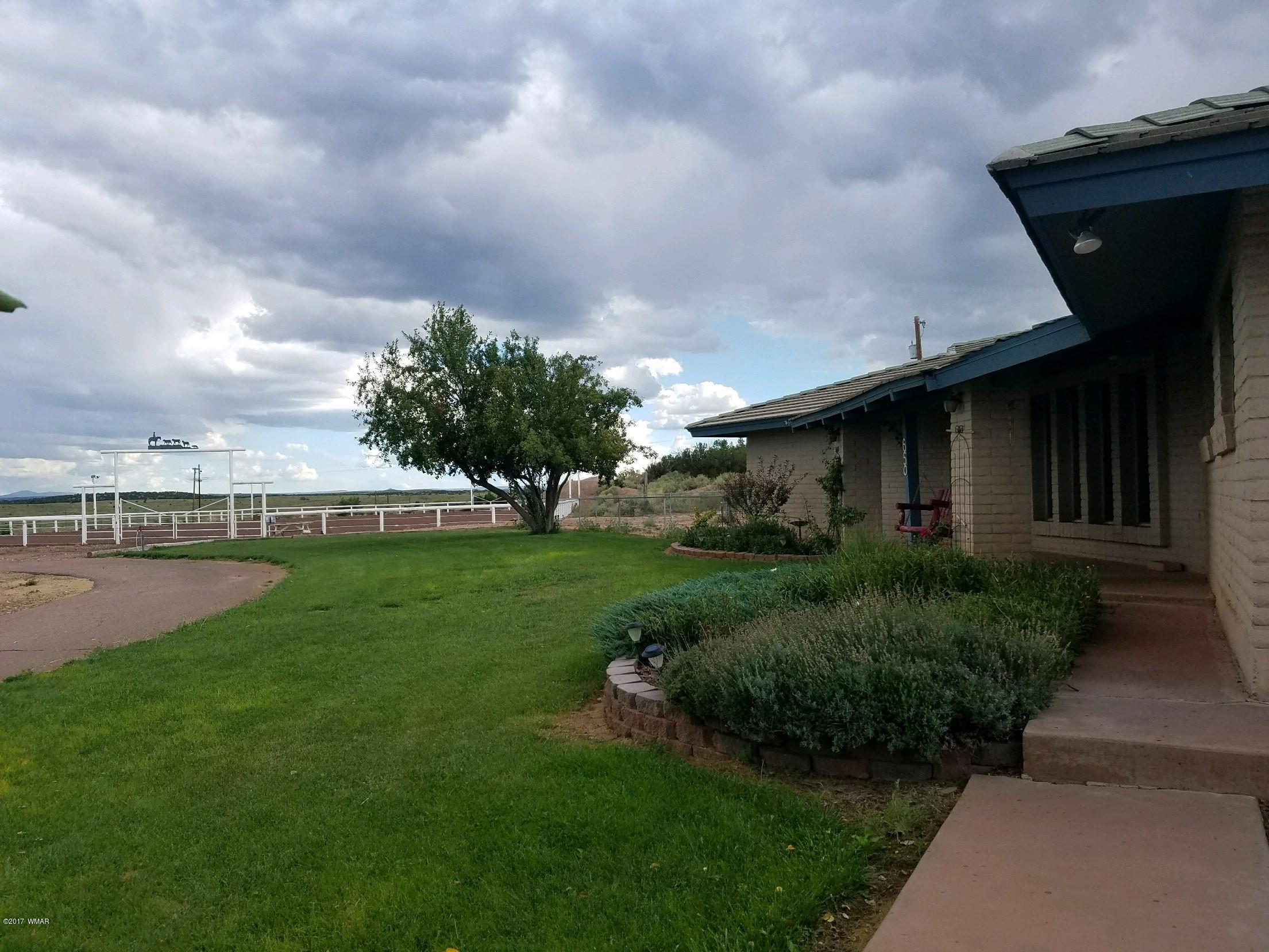 650 South Freeman Hollow Road Snowflake, AZ 85937 - Photo 56 of 58