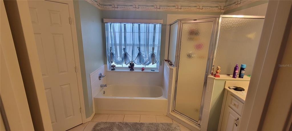 17076 Southeast 115th Terrace Road Summerfield, FL 34491 - Photo 38 of 55