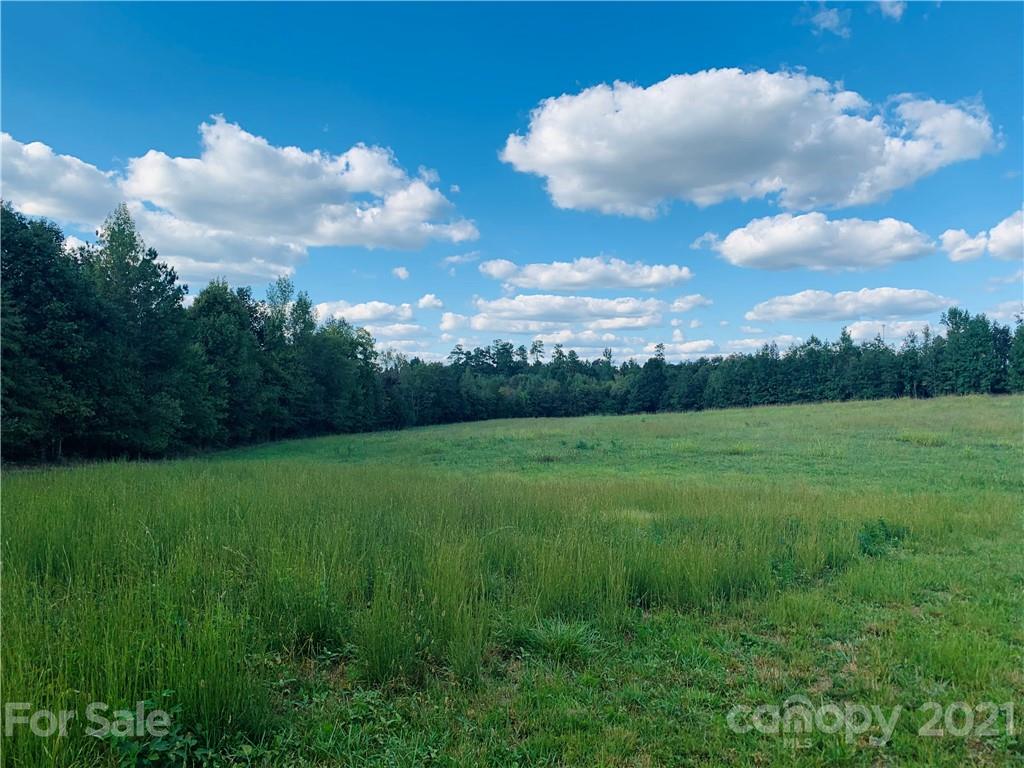 8800 County Line Road, Unit 2 Mount Pleasant, NC 28124 - Photo 2 of 10 Gallery Image 2