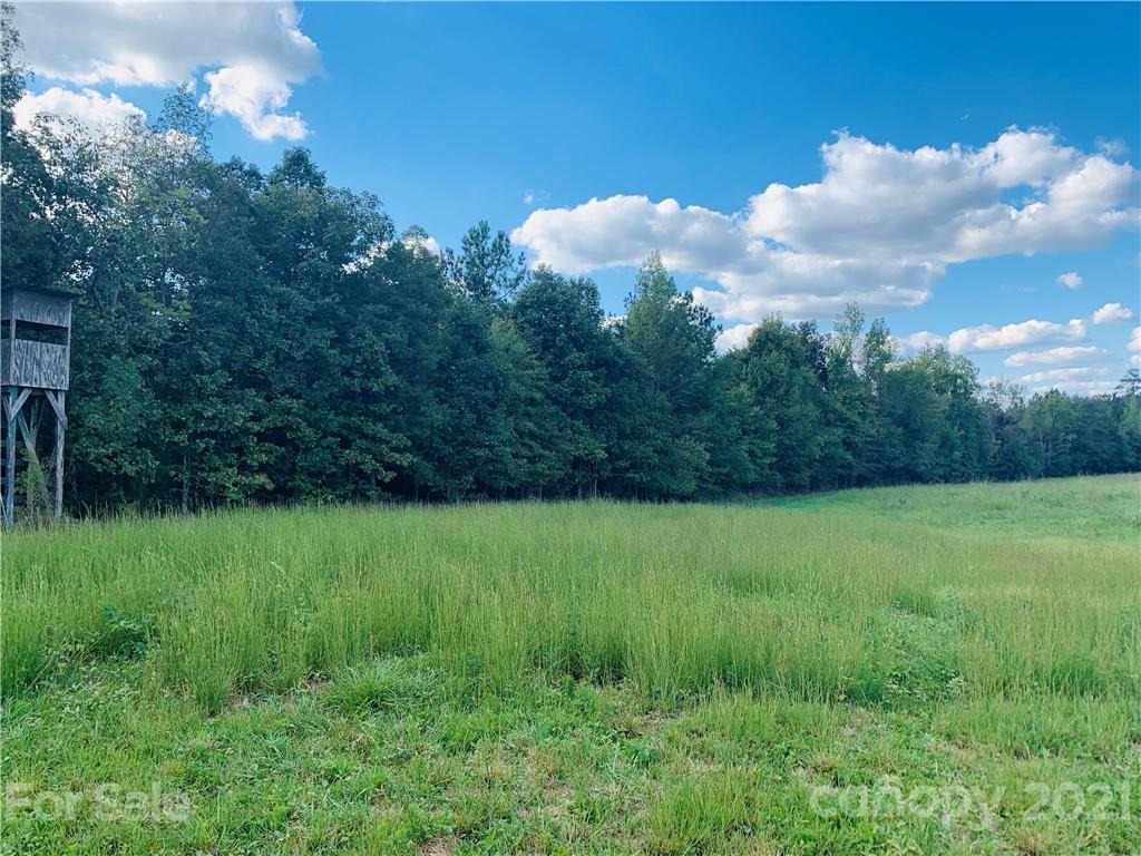 8800 County Line Road, Unit 2 Mount Pleasant, NC 28124 - Photo 3 of 10 Gallery Image 3