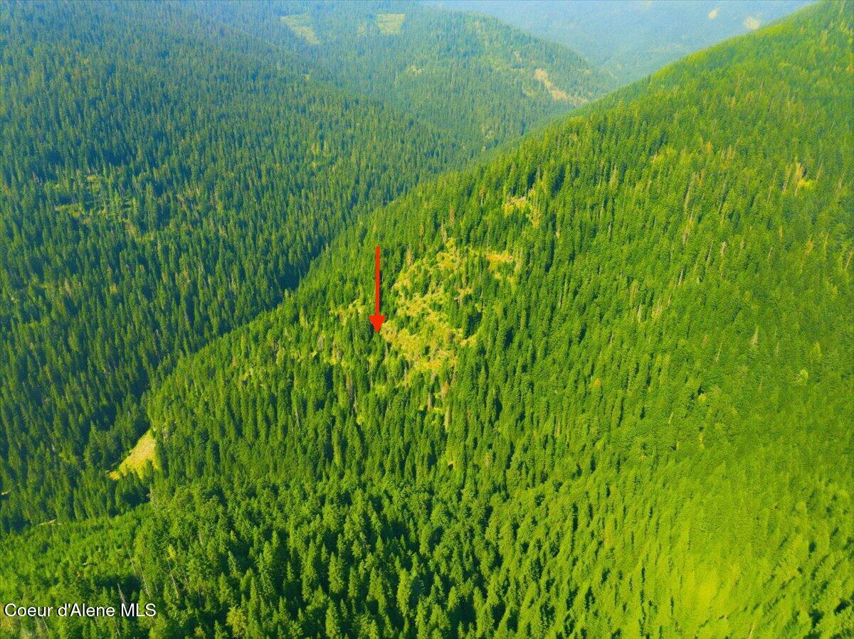 610 Rd Hayden Id 83835 Road Hayden, ID 83835 - Photo 19 of 35 32 Arrow-USFS Rd 610 40 AC_RedHogMedia(1