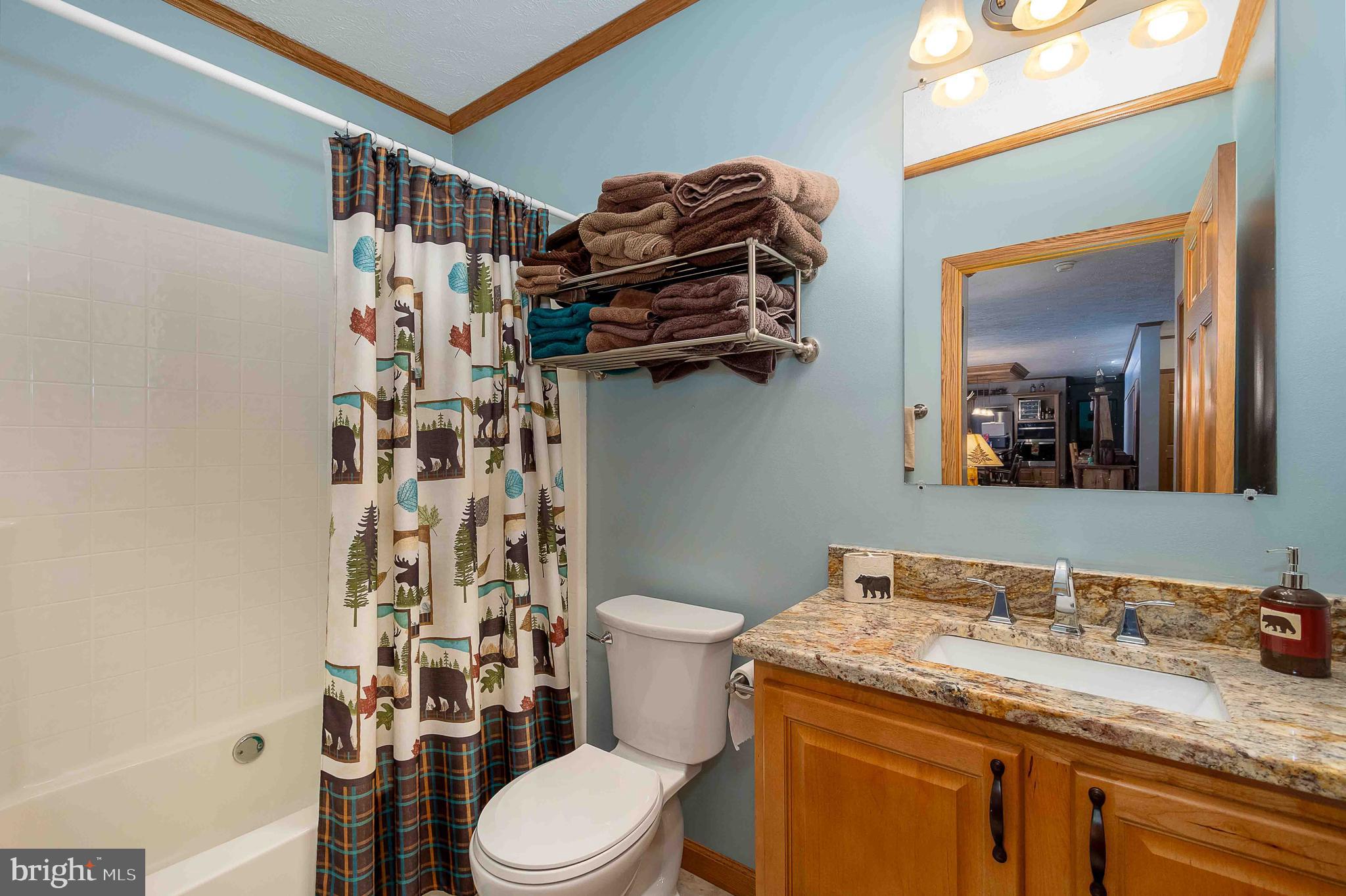 37 Skippers Point Road Oakland, MD 21550 - Photo 31 of 49