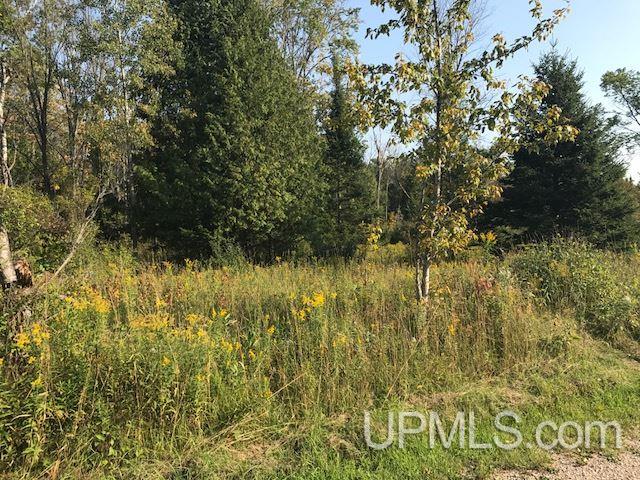 7620 30.5 Road Rapid River, MI 49878 - Photo 35 of 36