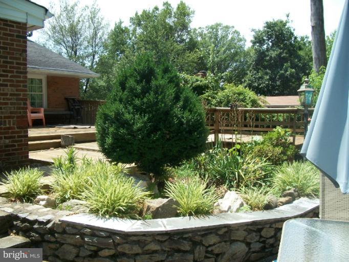 7310 Old Keene Mill Road Springfield, VA 22150 - Photo 25 of 30 a view of a garden with a bench