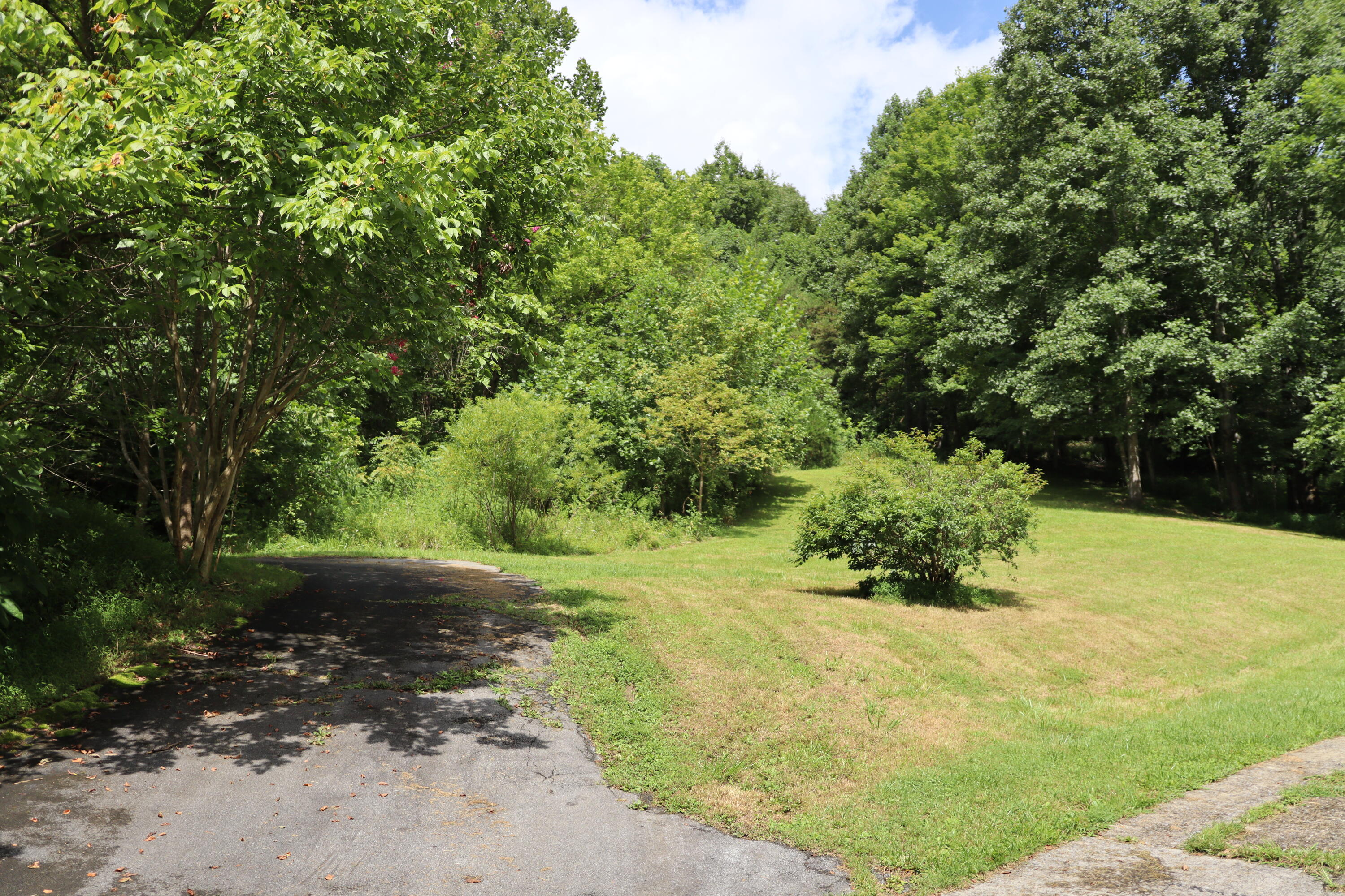 109 Mac Powers Road Unicoi, TN 37692 - Photo 12 of 38 IMG_1929