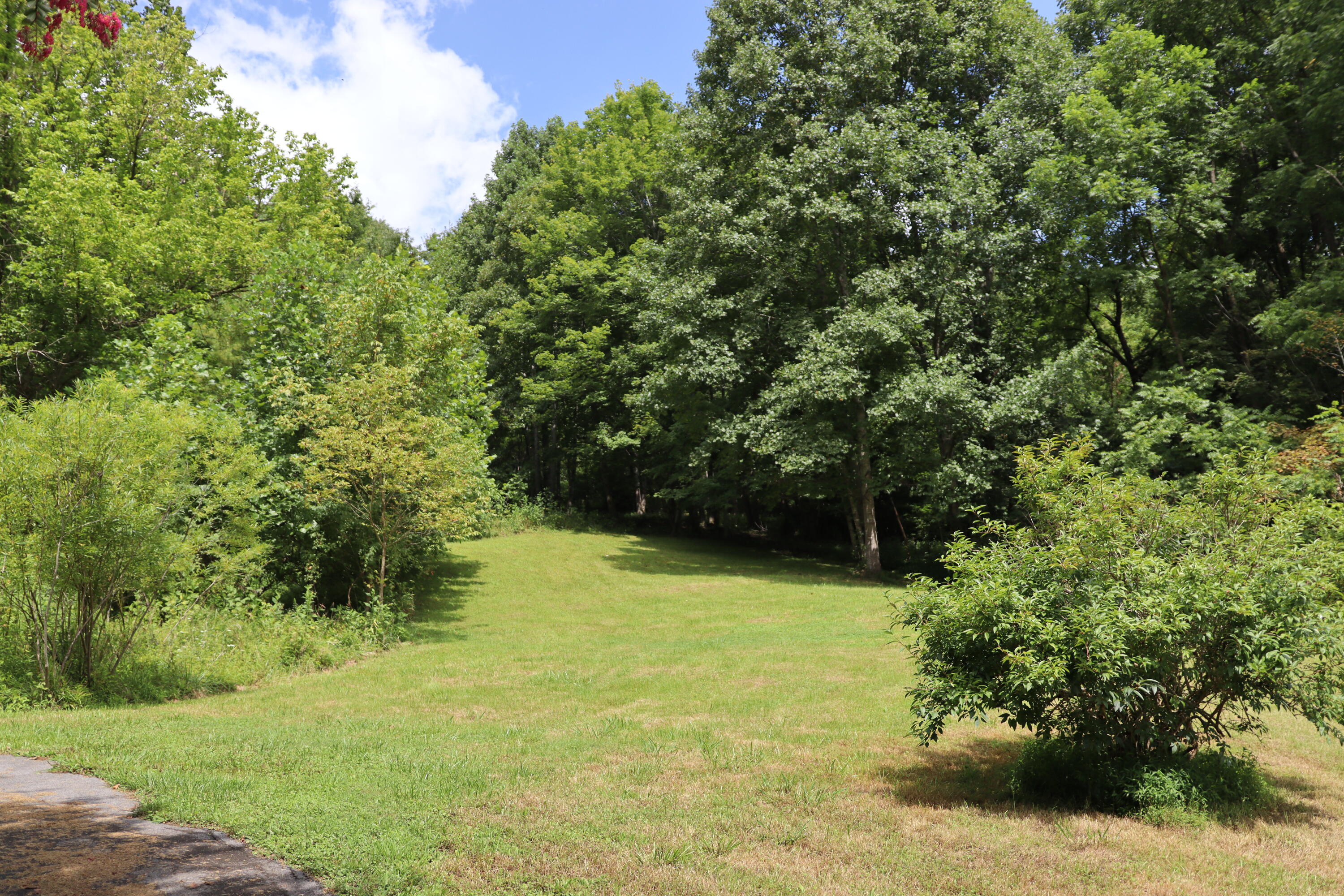 109 Mac Powers Road Unicoi, TN 37692 - Photo 13 of 38 IMG_1931