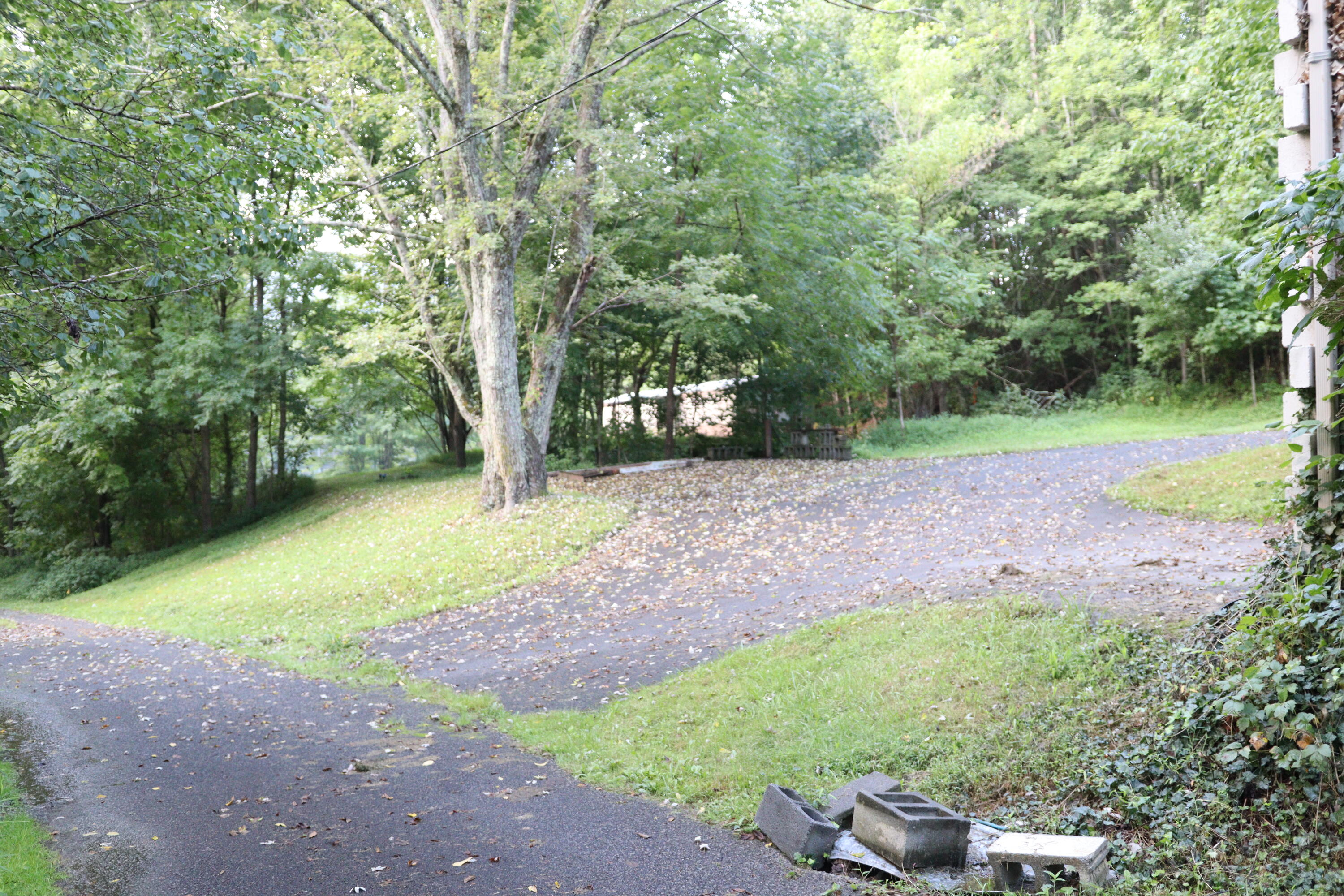 109 Mac Powers Road Unicoi, TN 37692 - Photo 4 of 38 IMG_1830