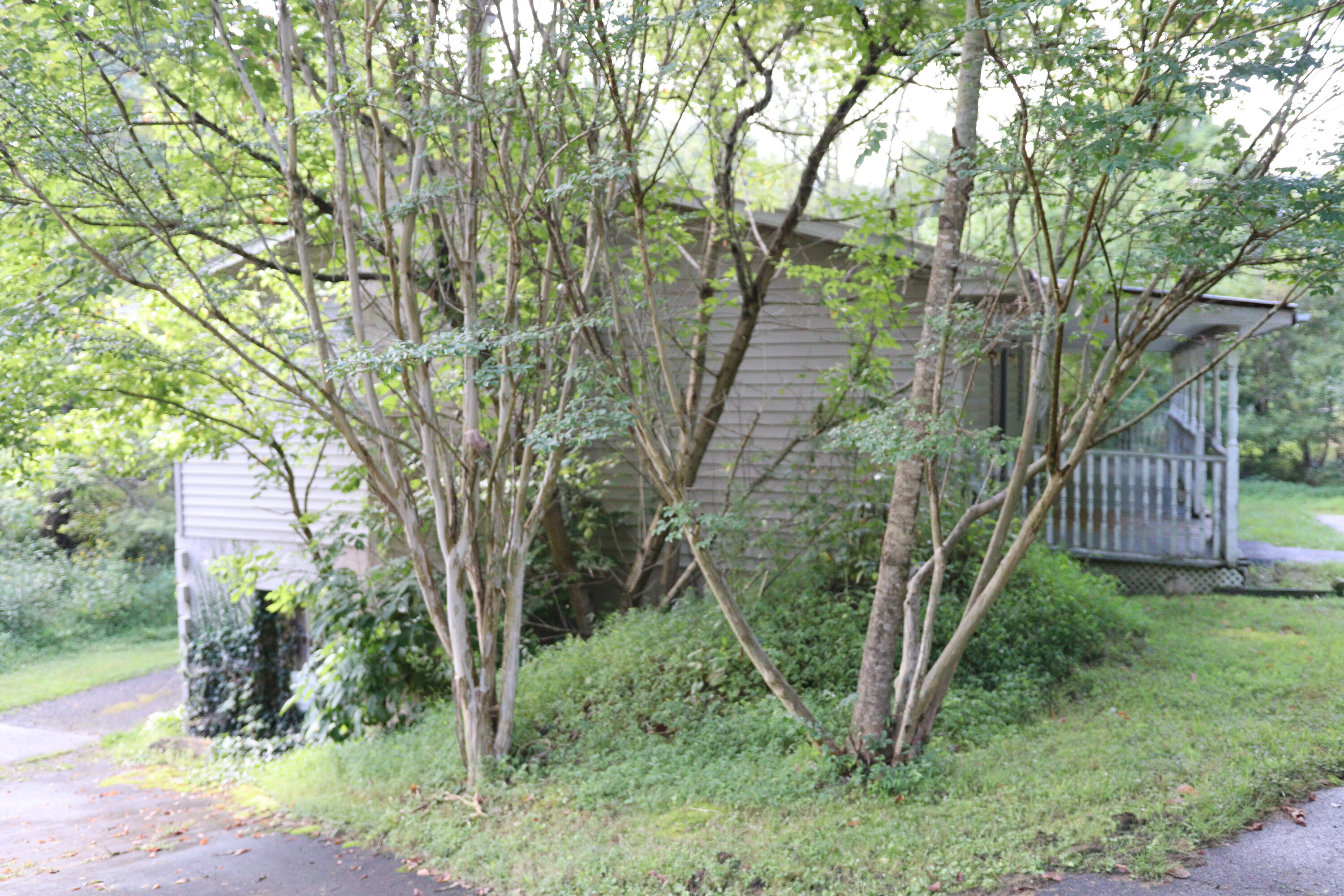 109 Mac Powers Road Unicoi, TN 37692 - Photo 8 of 38 IMG_1840
