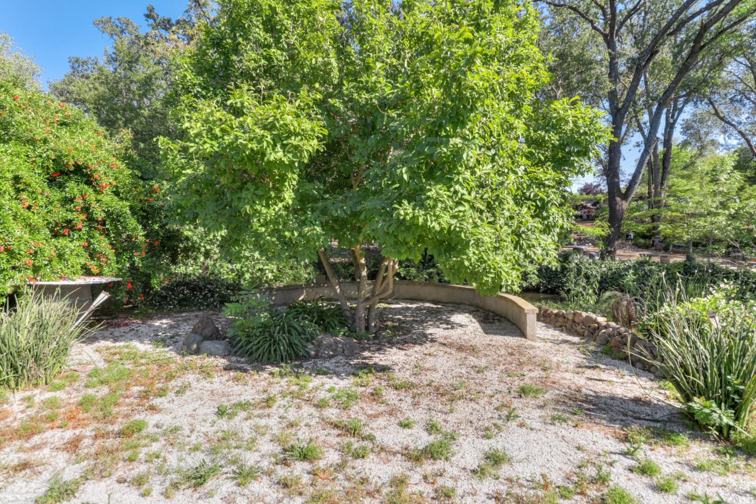 4330 Cavitt Stallman Road Granite Bay, CA 95746 - Photo 67 of 85 a view of a yard with plants and a bench