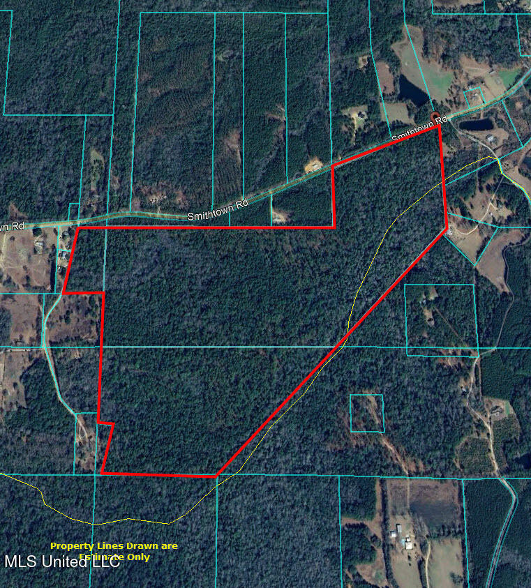 bethany lots wiggins