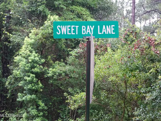 $325,000 | Sweetbay Lane, Wiggins, MS 39577