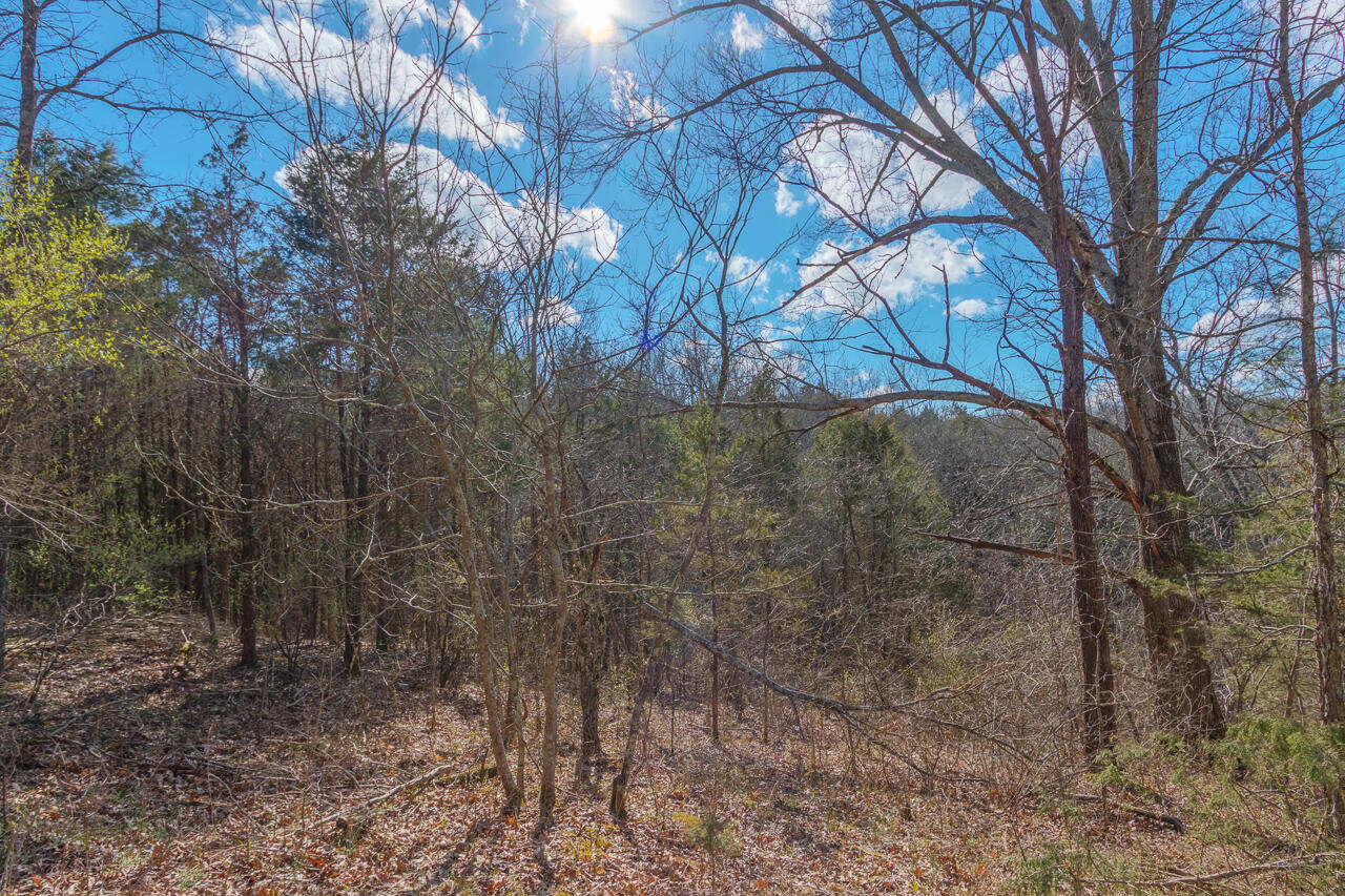 1 Camp Pleasant Road Frankfort, KY 40601 - Photo 35 of 67 068-2918-Cedar-Rd-Stamping-Ground-KY-403