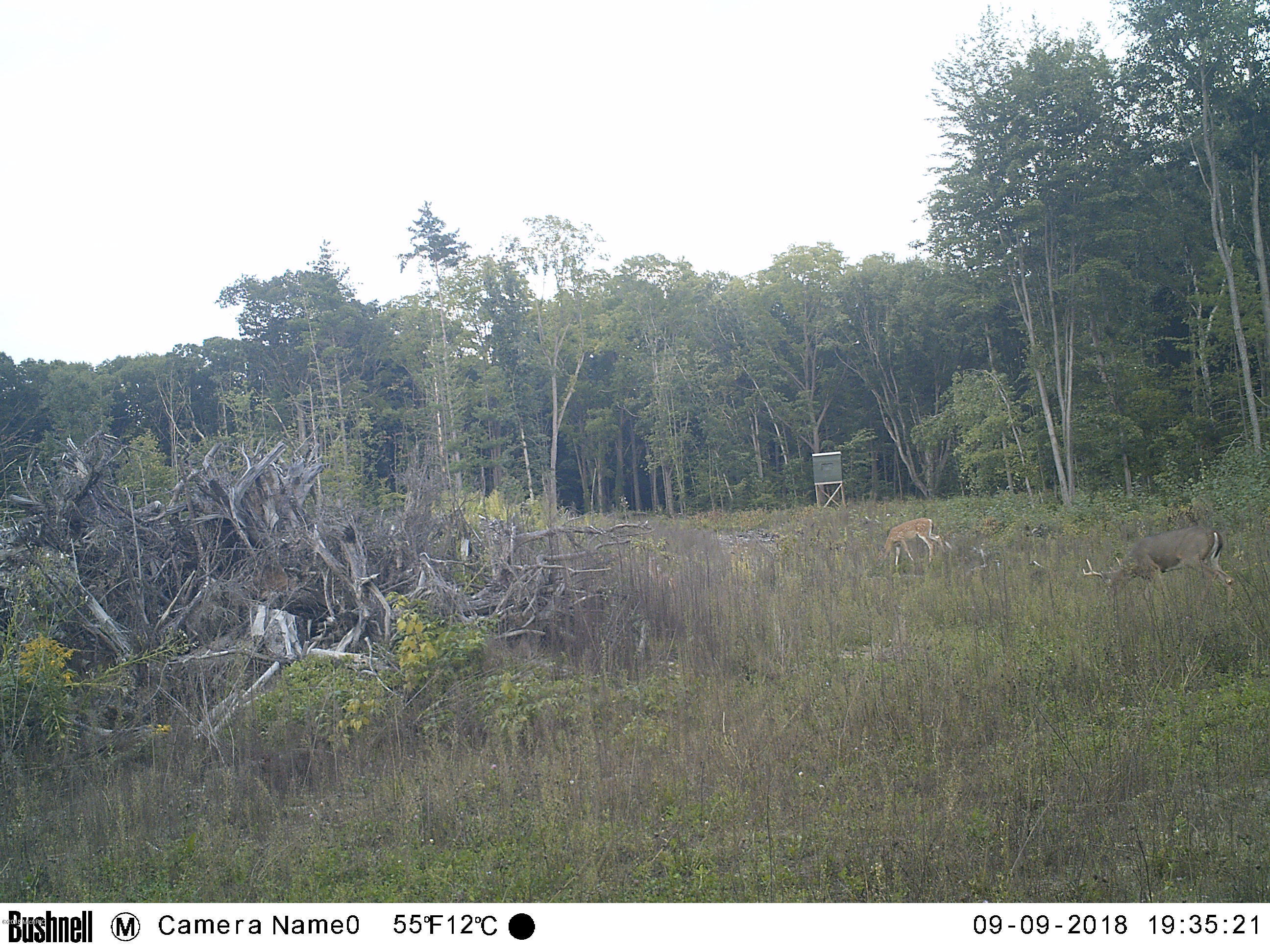 North Arbogast Rd/vacant Morley, MI 49336 - Photo 5 of 7 EK001768