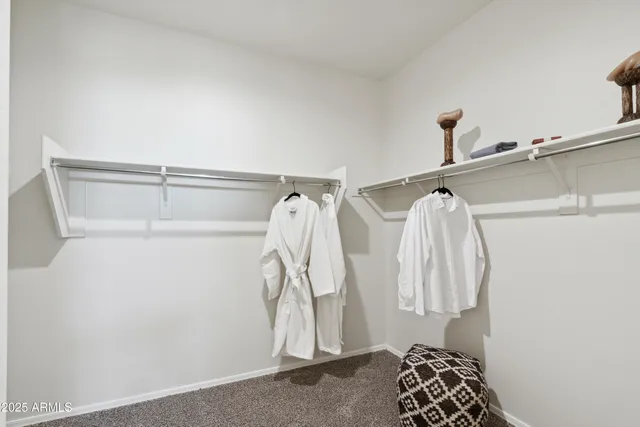 a view of walk in closet with clothes and shoes