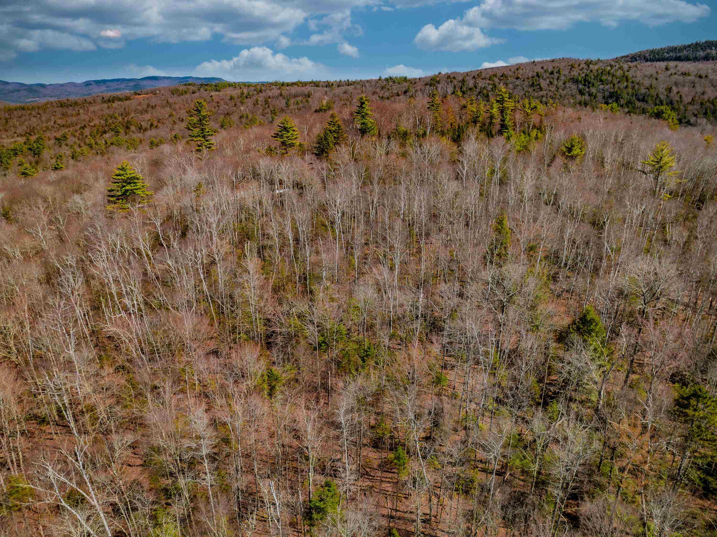 3613 Stinson Lake Road Ellsworth, NH 03223 - Photo 11 of 45 Gallery Image 11