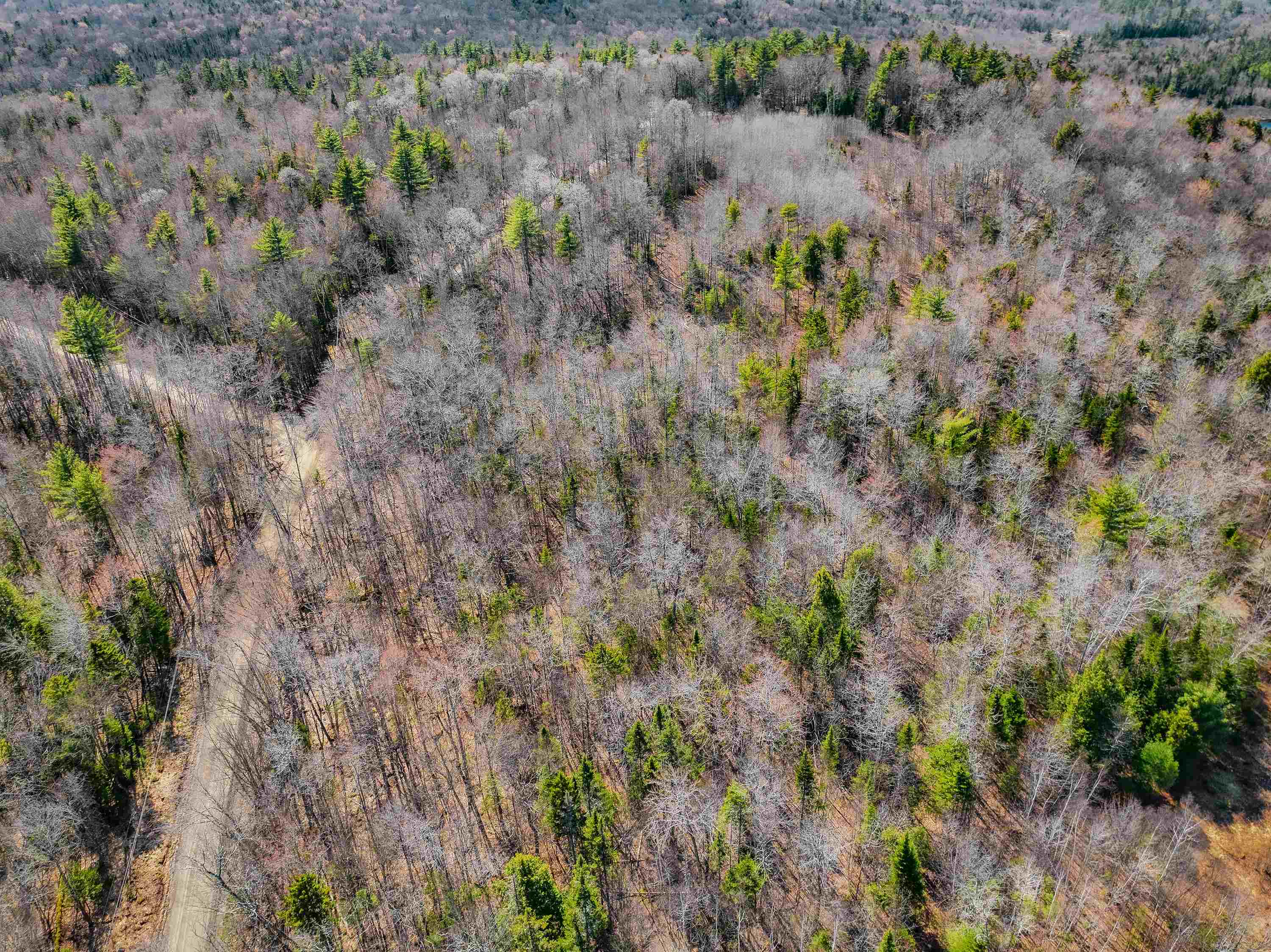 3613 Stinson Lake Road Ellsworth, NH 03223 - Photo 25 of 45 Gallery Image 25