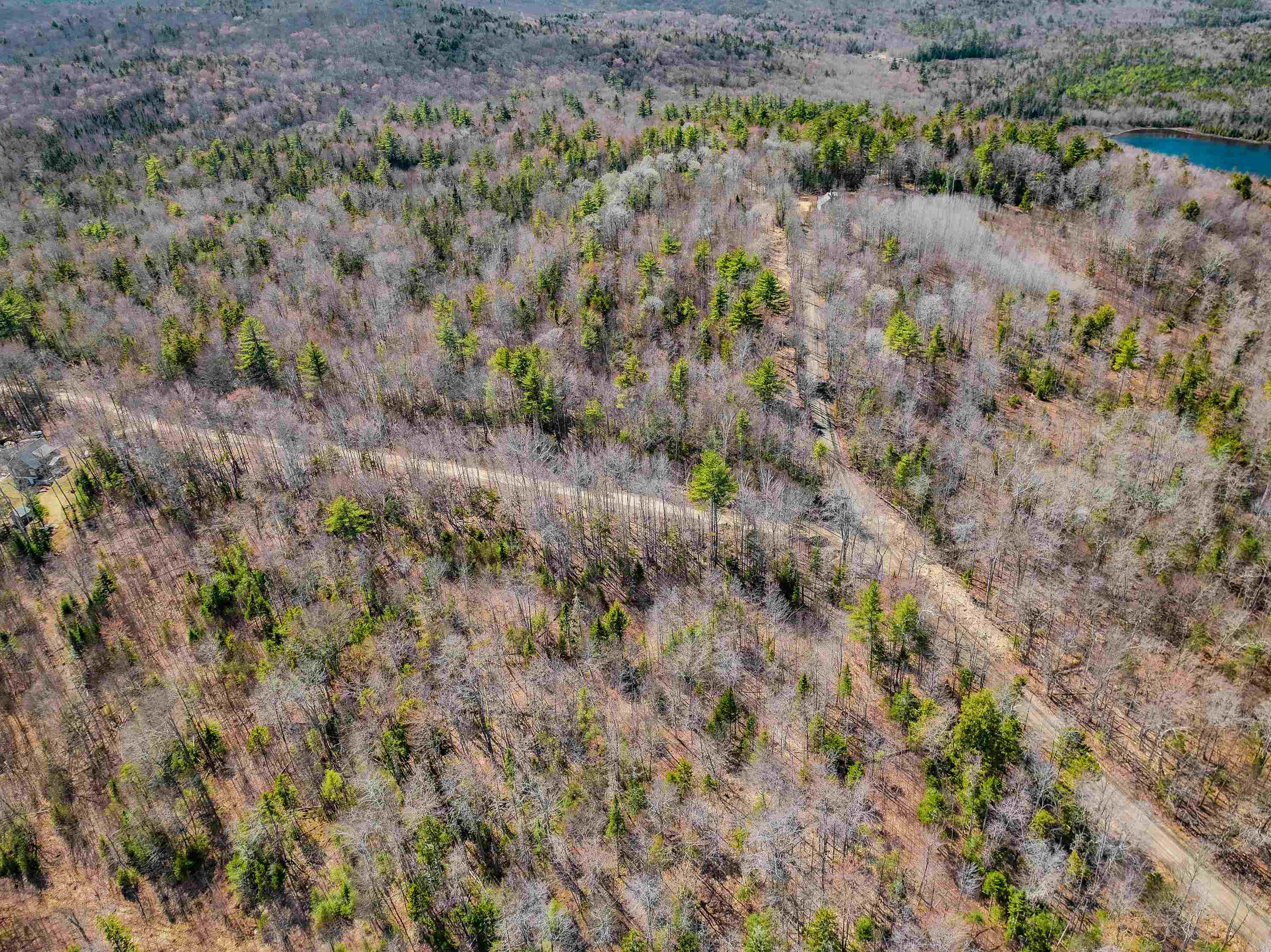 3613 Stinson Lake Road Ellsworth, NH 03223 - Photo 29 of 45 Gallery Image 29
