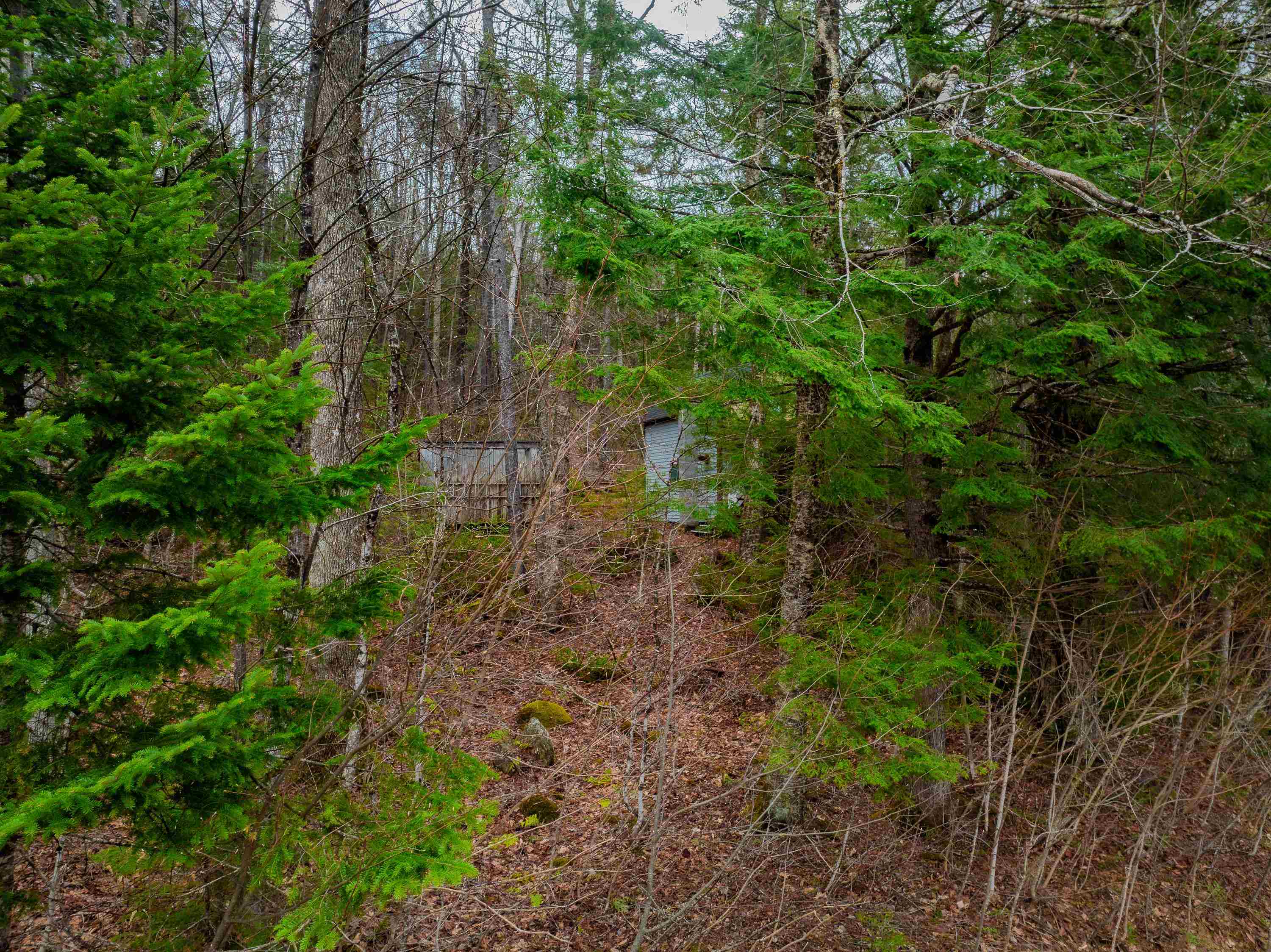 3613 Stinson Lake Road Ellsworth, NH 03223 - Photo 43 of 45 Gallery Image 43