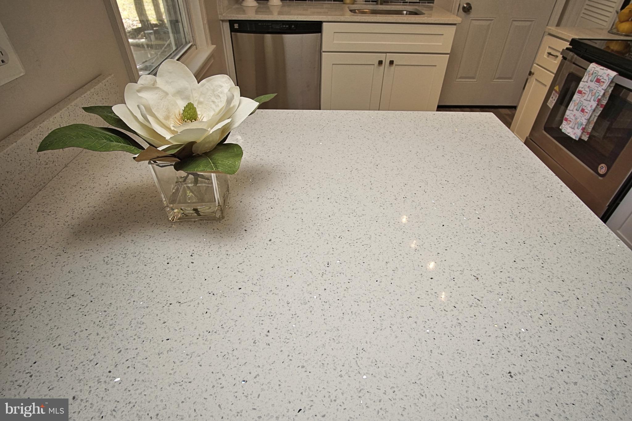 4503 Morgan Road Morningside, MD 20746 - Photo 14 of 20 Kitchen/Quartz counters