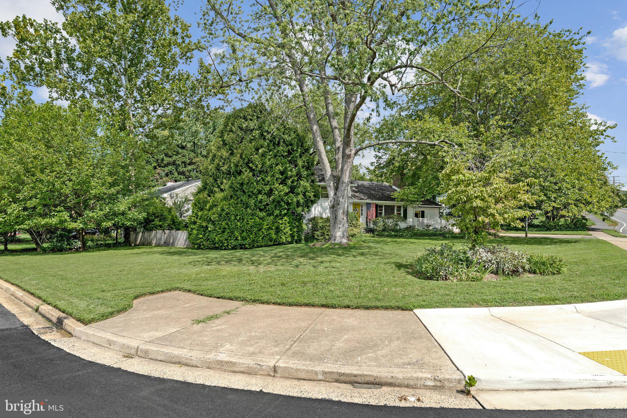 1712 Birch Road McLean, VA 22101 - Photo 50 of 59 Beautiful large flat corner lot