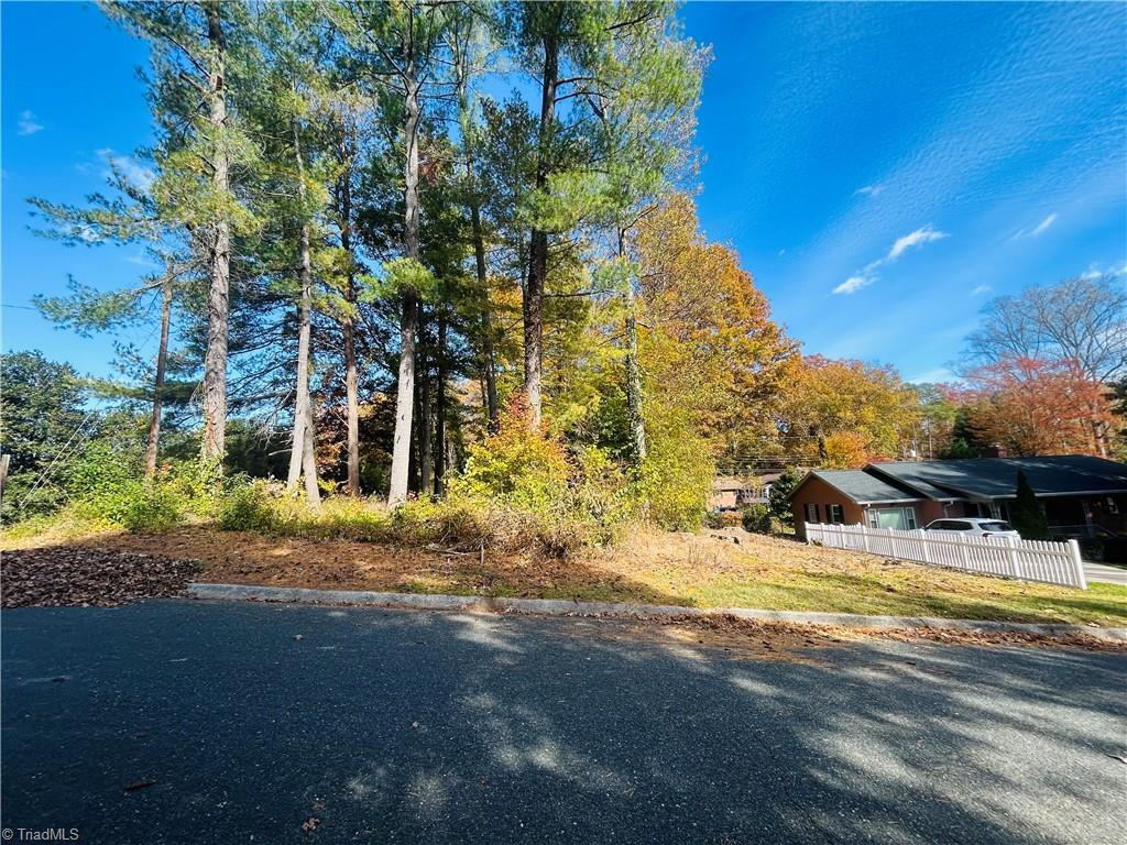 Tbd Old Springs Road Mount Airy, NC 27030 - Photo 6 of 17