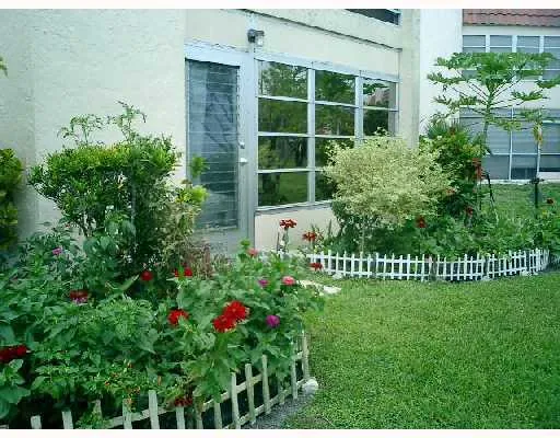 a view of a garden with a flower garden
