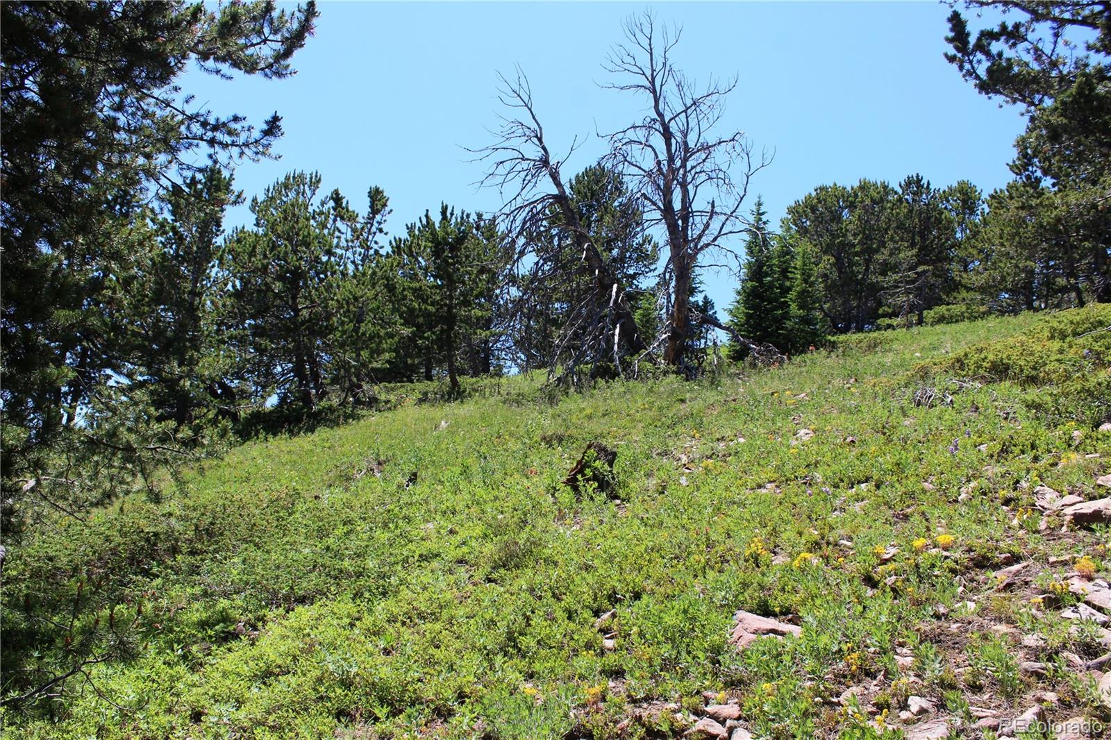 1595 Missouri Gulch Road Black Hawk, CO 80422 - Photo 16 of 49