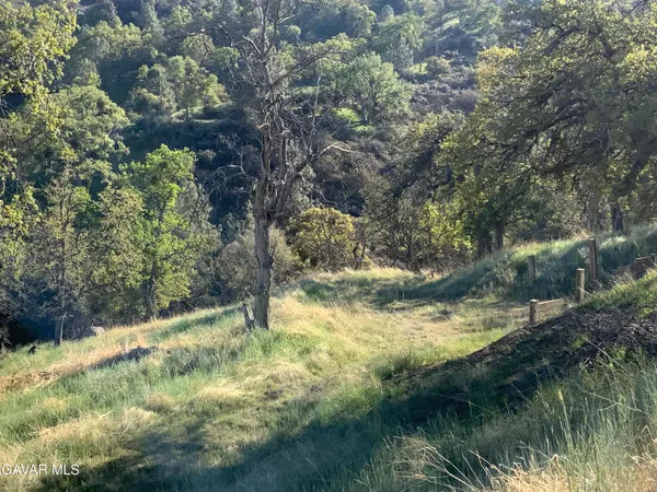 a view of a lake with a yard