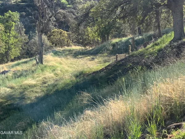 a view of a lush green hillside and a mountain